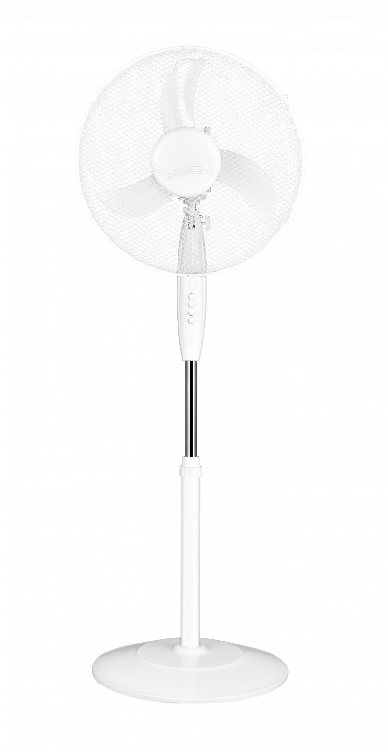 Immagine di copertina n.1