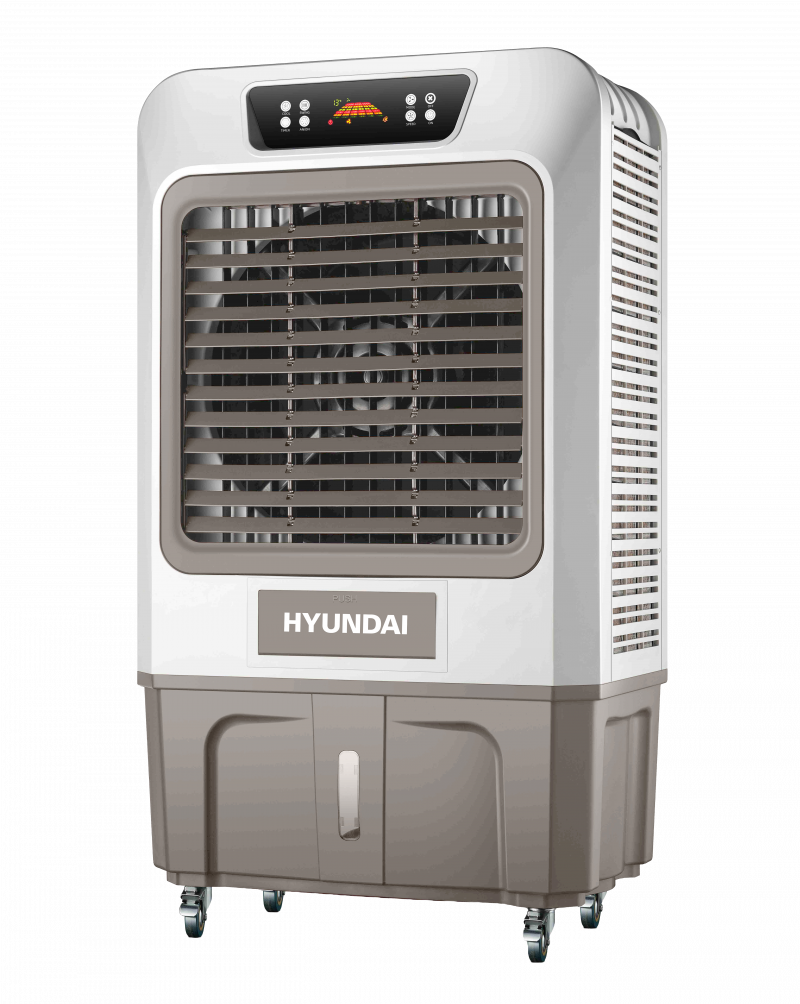 Immagine di copertina n.1